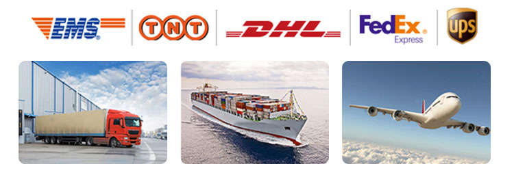 Qc11k-6x2500 Metal Guillotine Shear Guillotine Shearing Machine Qc11k-6x2500 Metal guilhotina guilhotina guilhotina máquina de guilhotina